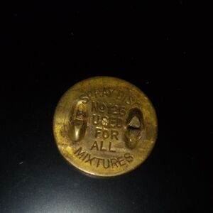 New York & Company Brass Spray Disc